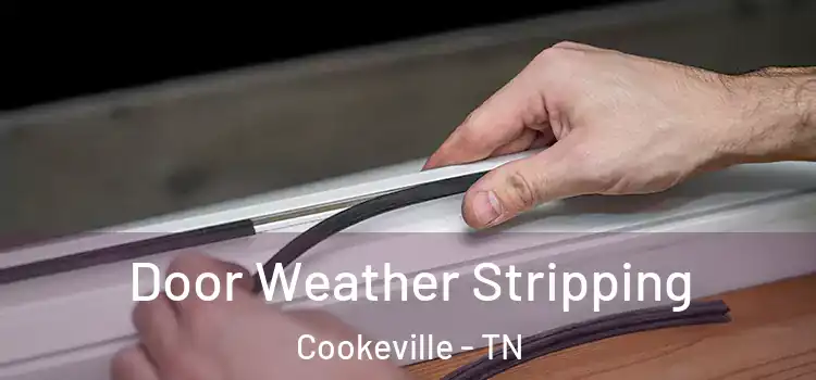  Door Weather Stripping Cookeville - TN