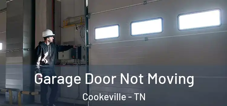  Garage Door Not Moving Cookeville - TN
