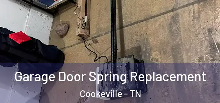  Garage Door Spring Replacement Cookeville - TN