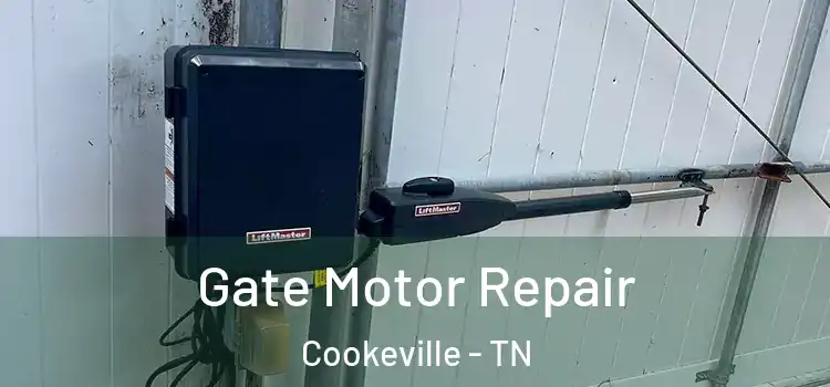 Gate Motor Repair Cookeville - TN