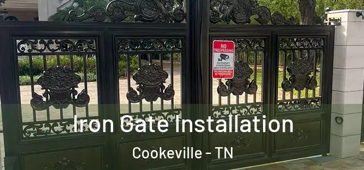 Iron Gate Installation Cookeville - TN