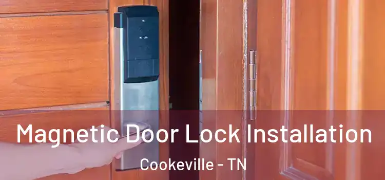  Magnetic Door Lock Installation Cookeville - TN