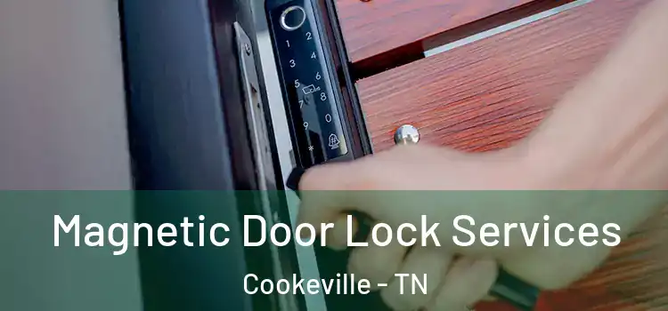 Magnetic Door Lock Services Cookeville - TN