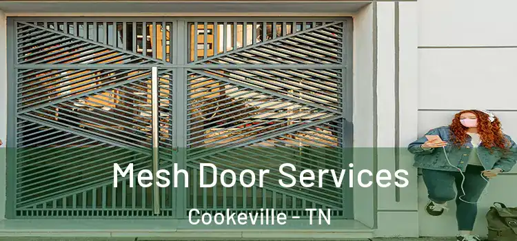 Mesh Door Services Cookeville - TN