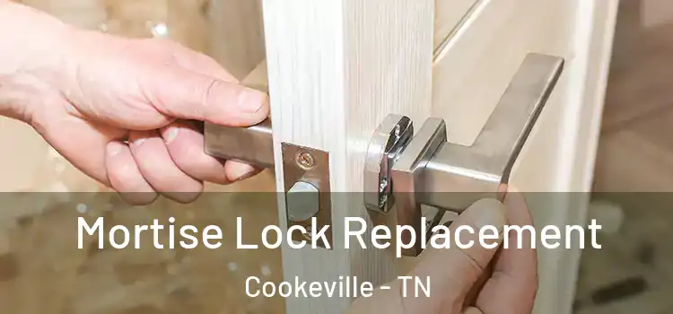 Mortise Lock Replacement Cookeville - TN