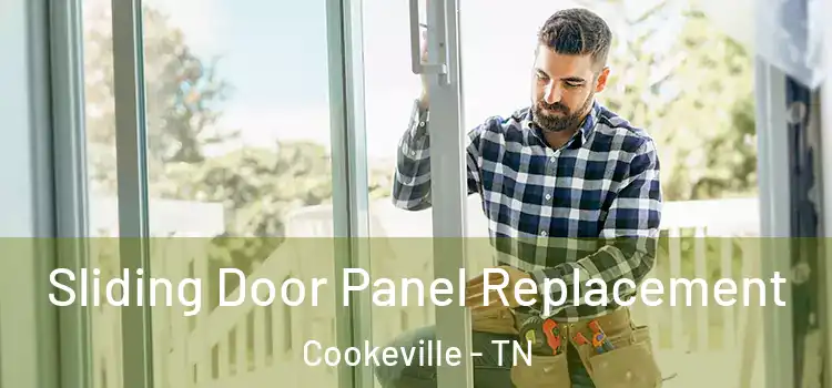  Sliding Door Panel Replacement Cookeville - TN